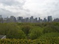 /album/nueva-york/new-york-dia-2011-04-27-125-jpg/